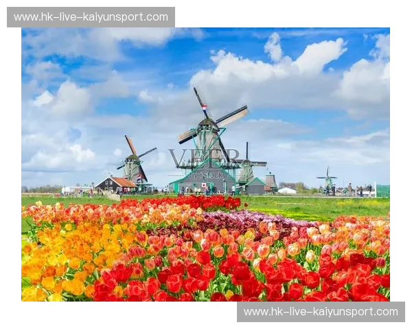 荷兰球vs：一场关于风车、郁金香与创新精神的奇妙碰撞